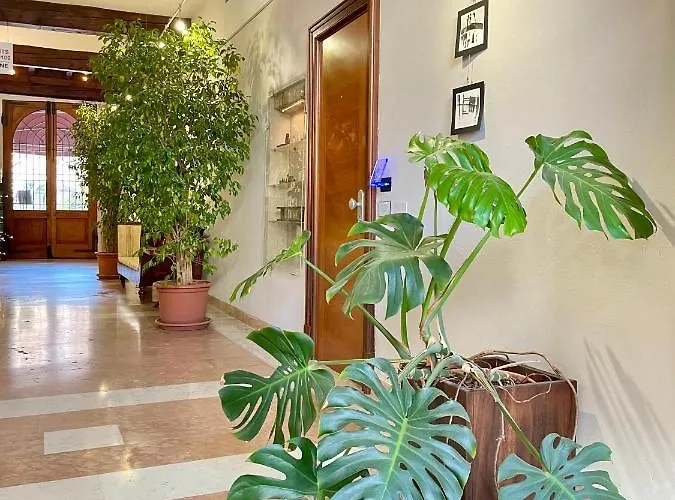 Couette-café Alkimia Smart Ferrare