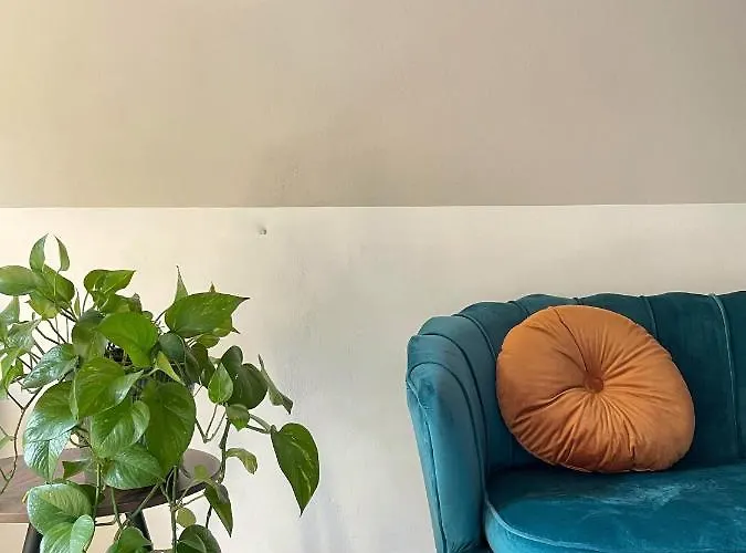 Alkimia Smart Couette-café Ferrare