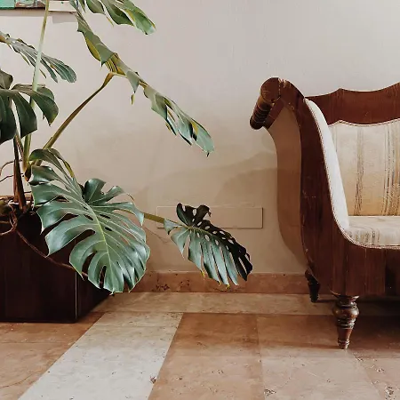 Alkimia Smart 4* פררה