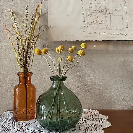 Bed & Breakfast Alkimia Smart