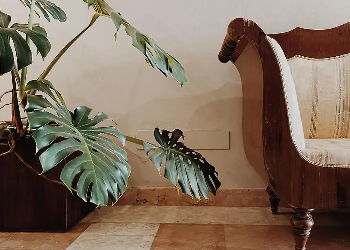 Alkimia Smart 4* 费拉拉